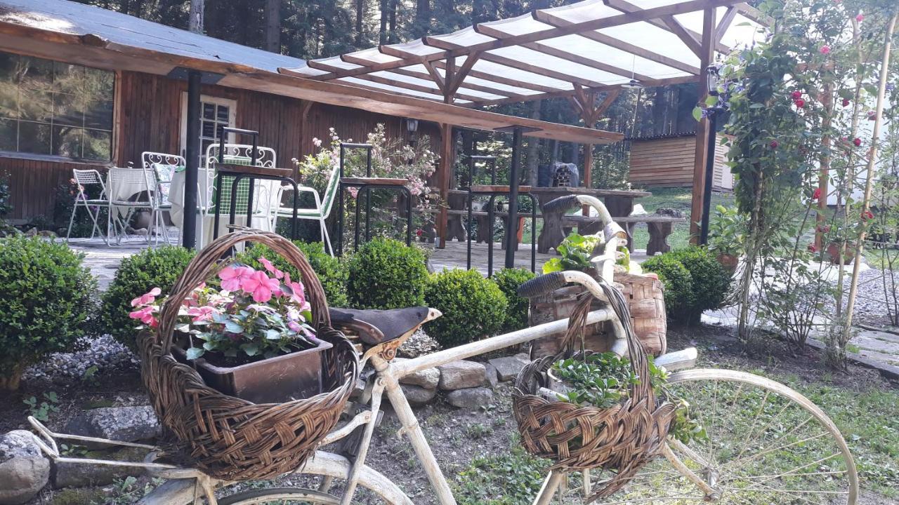 Villa Sveti Dimitar 보로베츠 외부 사진