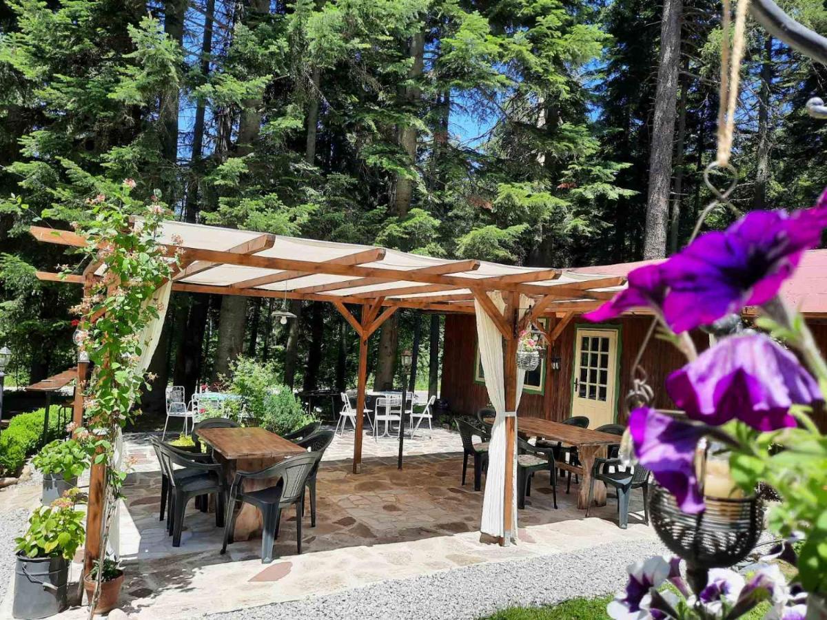 Villa Sveti Dimitar 보로베츠 외부 사진