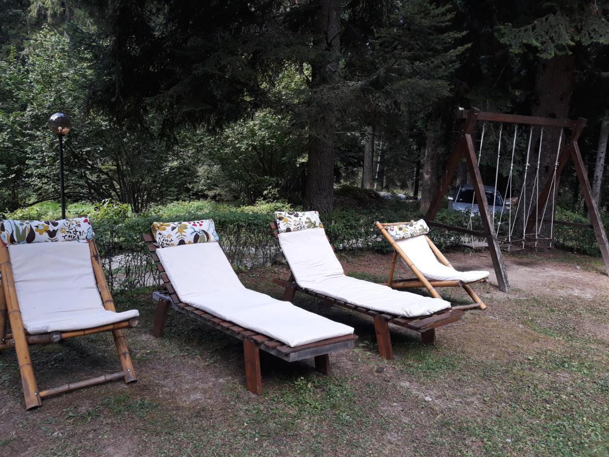 Villa Sveti Dimitar 보로베츠 외부 사진